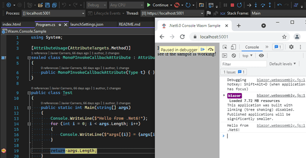 net6 webassembly code